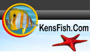 Kensfish Promo Codes 